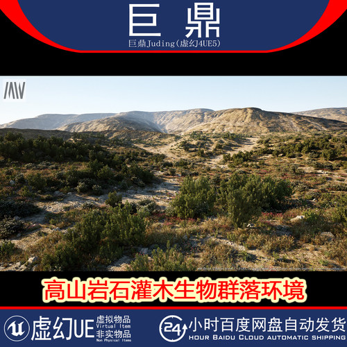 虚幻UE5.0+ MW Shrubs & Bushes Biome 高山岩石灌木生物群落环境
