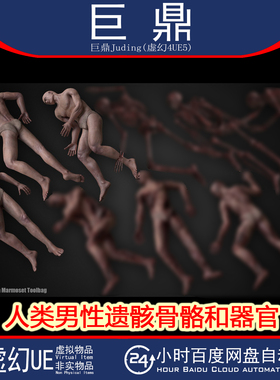 虚幻UE5.1+Human Male Remains Bones and Organs Rigged人类遗骸