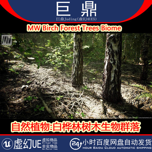 虚幻UE5.1MW Paper Birch Trees Forest Biome白桦林树木生物群落