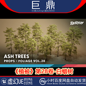 虚幻UE5.1 Trees植被白蜡树树木模型道具 Ash Foliage VOL.28