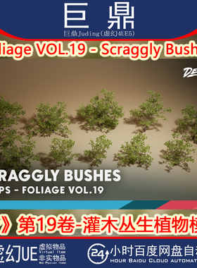 虚幻UE5.1+ Foliage VOL.19 - Scraggly Bushes 灌木丛生植物模型