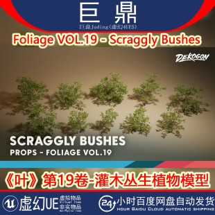 Bushes 虚幻UE5.1 Scraggly VOL.19 灌木丛生植物模型 Foliage