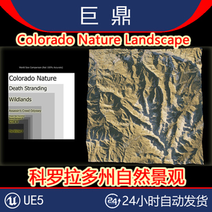 科罗拉多州自然景观松针森林岩石 UE5 Colorado Nature Landscape