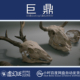 Bones VOL.3 Animal 虚幻UE5.0 动物骨头颅骨肋骨模型