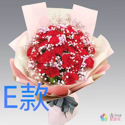 生日周年康乃馨四川宜宾花店送花南溪县江安县长宁县同城鲜花速递