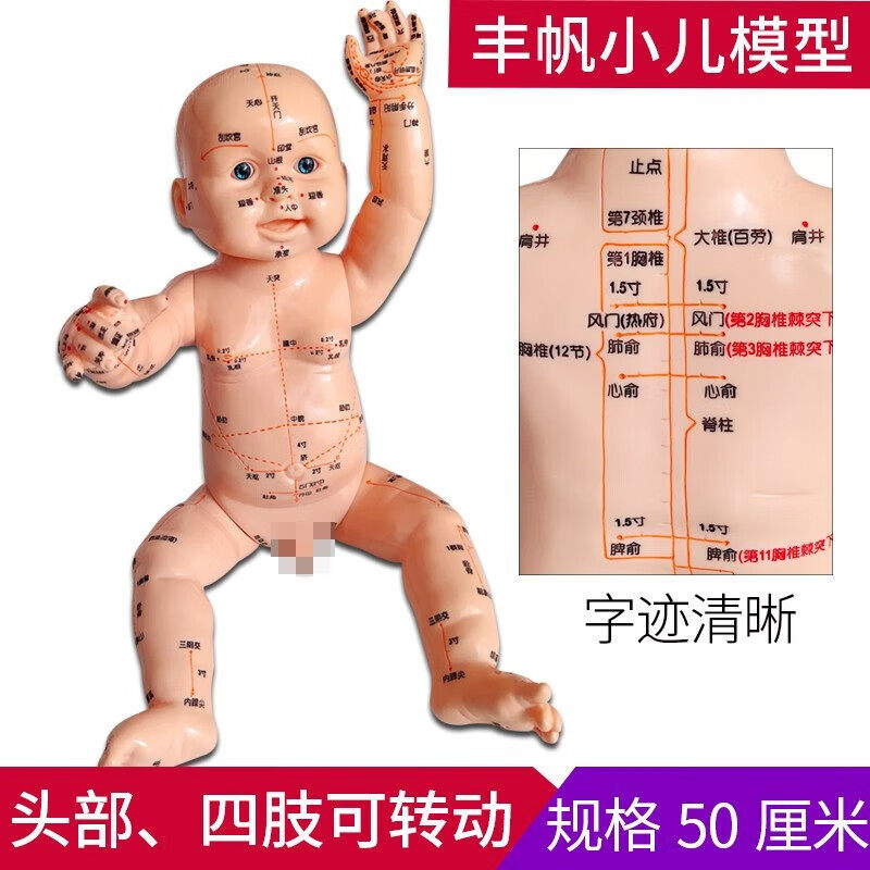 丰帆 小孩针灸穴位模型小儿按摩推拿穴位图新款娃娃穴位模型中医