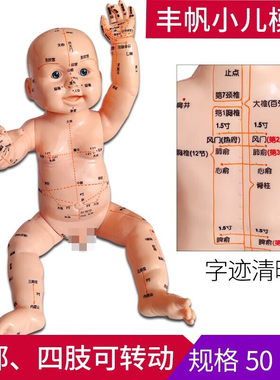 丰帆小儿针灸穴位模型