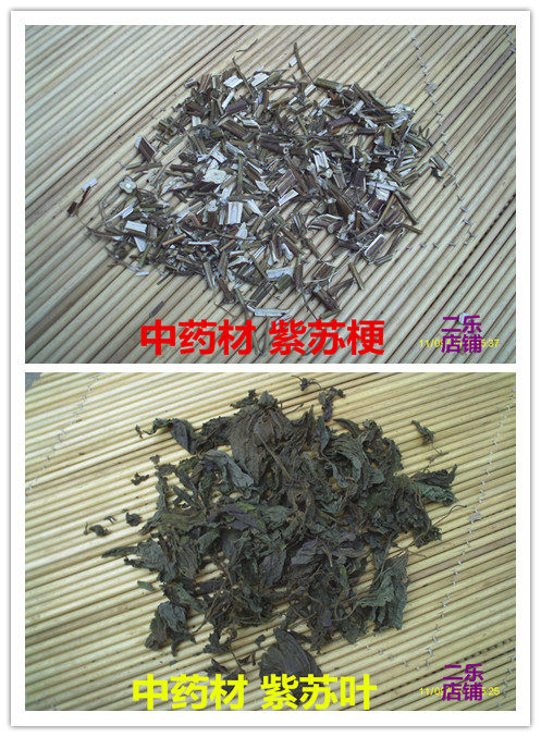 河南中药材紫苏叶紫苏梗红苏