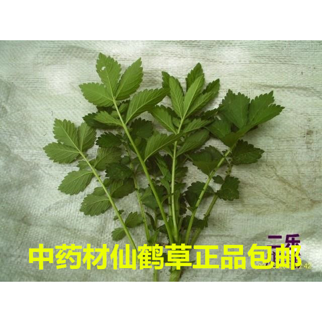 中药材仙鹤草带根全草新货包邮