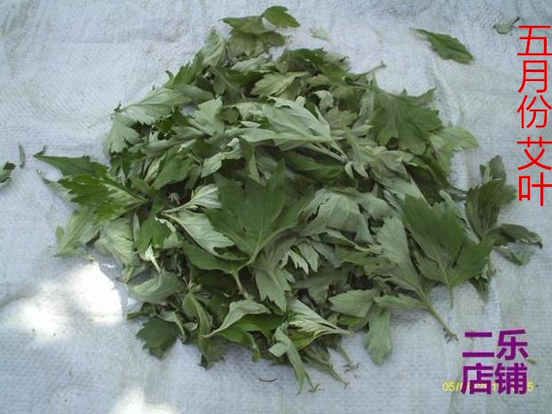 河南中药材艾叶五月份采摘晒干