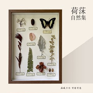 ins手作植物标本绝美小众装饰画