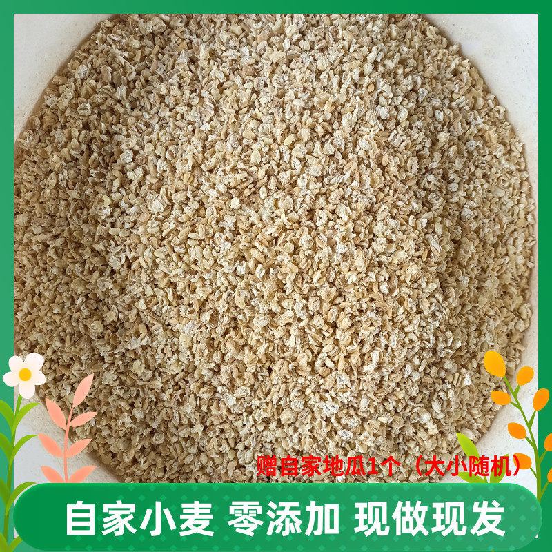 新小麦现做去皮小麦仁碎麦仁穗农自家做熬粥煮粥稀饭五谷杂粮粗粮