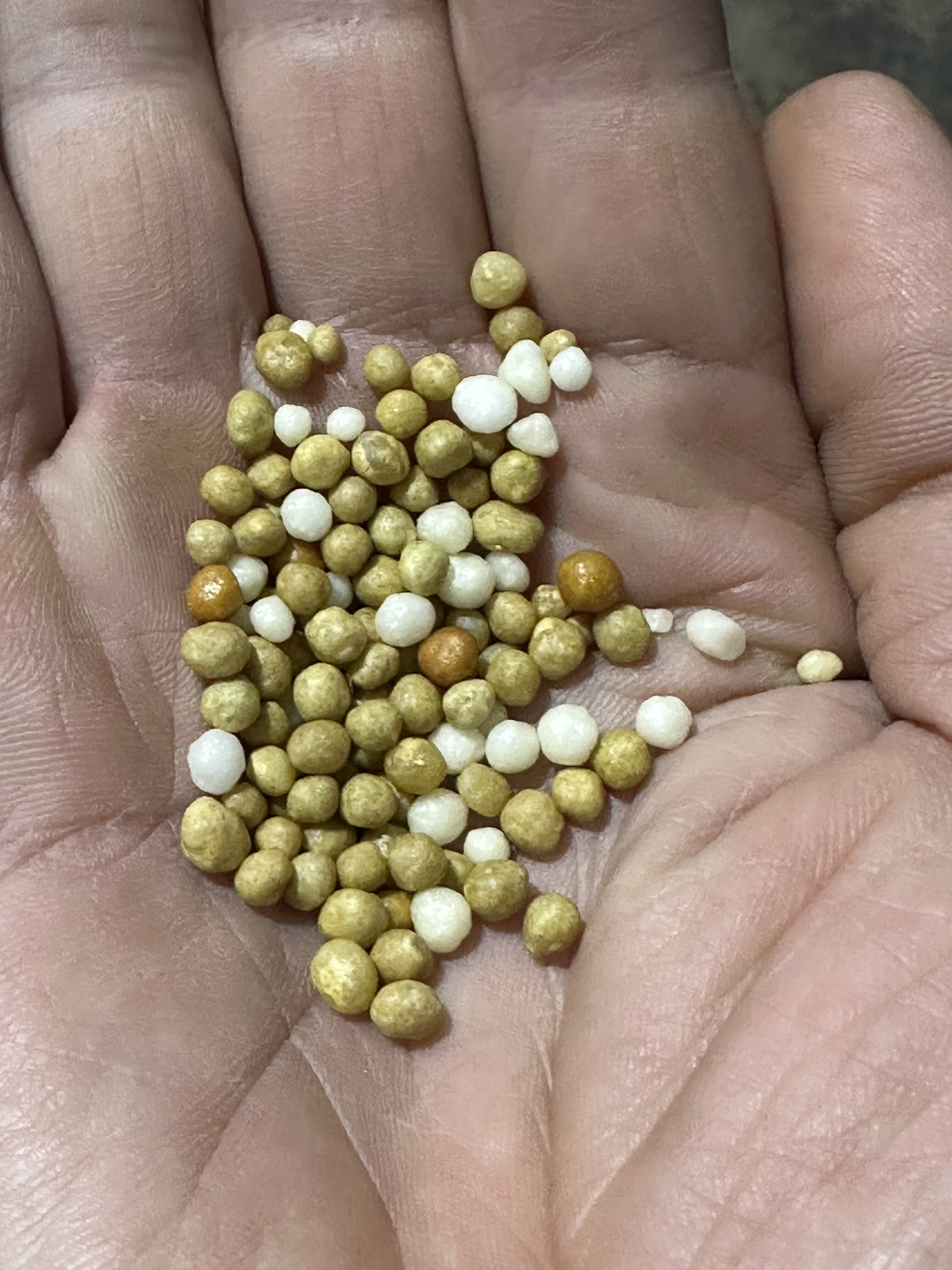 控释肥缓释肥绿植花卉通用肥控释肥龟甲龙专用肥250克