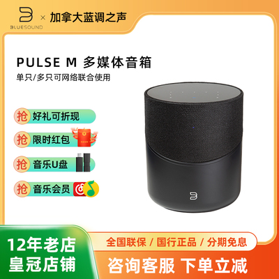 BLUESOUND（家电） PULSE M蓝牙音箱桌面无线音响家用智能音响