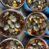 冷冻保存 张磊泥螺家 手工制作大号黄泥螺500克