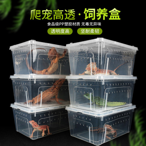 爬宠饲养盒守宫蜥蜴宠物蛇人渣盒