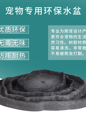 爬虫爬宠箱水盆食盆用品陆龟王者蜥绿鬣鬃狮蜥蜴造景布景