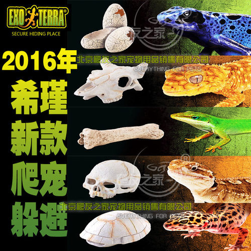 希瑾爬宠造景躲避头骨仿真