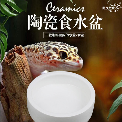 爬虫防逃逸水食盆防逃脱爬宠守宫鬃狮蜜袋鼯爬宠面包虫大麦虫陶瓷