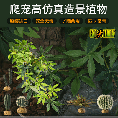 造景爬宠仿真植物希瑾