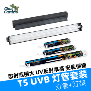 爬宠T5 UVB灯管架5.0鬃狮蜥蜴陆龟爬虫箱守宫变色龙晒背补钙10.0