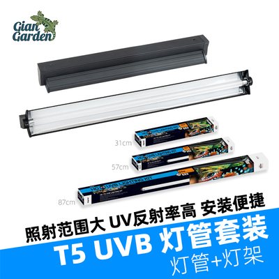 GiangardenT5UVB5.010.0晒背灯管