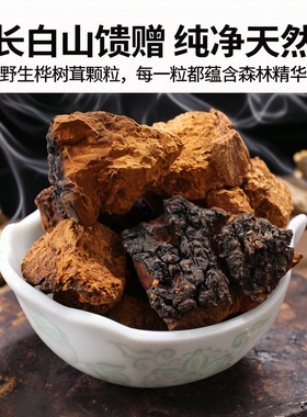 桦树茸黑金颗粒野生白桦茸粉500g桦褐孔菌长白山1斤非俄罗斯进口