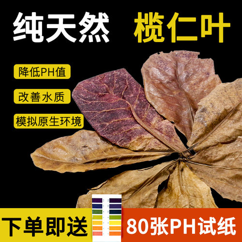 送试纸天然榄仁叶降低ph改善水质