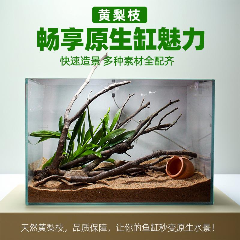 鱼缸造景全套沉木生态套餐黄梨枝