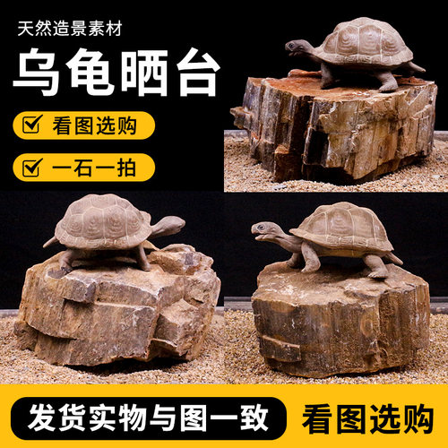 乌龟晒台木化石鱼缸造景石摆件
