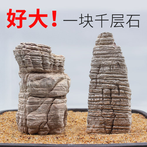 千层石天然大块鱼缸造景水草