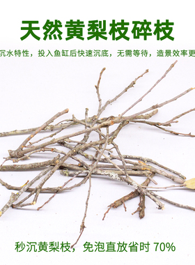 鱼缸造景沉木鹿角枝黄梨木树枝黄梨枝细枝枯木生态南美缸装饰枯枝