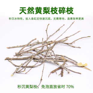 鱼缸造景沉木鹿角枝黄梨木树枝黄梨枝细枝枯木生态南美缸装饰枯枝