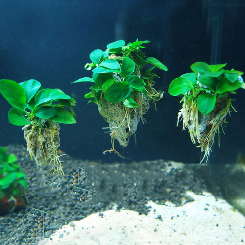 天然悬浮鱼缸造景石摆件