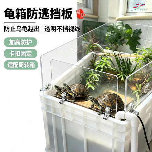 乌龟周转箱挡板养龟专用加高防逃围栏防止乌龟逃逸龟缸隔离挡板