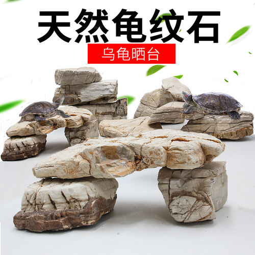 龟纹石乌龟晒台鱼缸龟缸造景石头