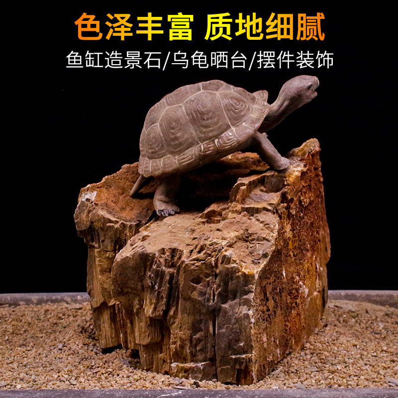 乌龟晒台石头高水位爬台木化石