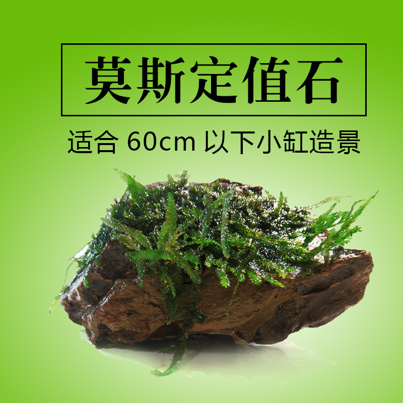莫斯定值石火山石水草鱼缸造景