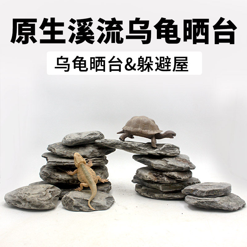 乌龟爬台晒台石高水位特大号