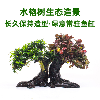水榕树生态造景鱼缸专用水草植物净化水质的水草树新手草缸装饰