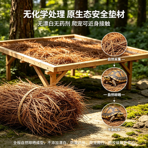 干松针爬宠垫材天然风干松针黄缘闭壳龟陆龟饲养保湿透气造景垫料
