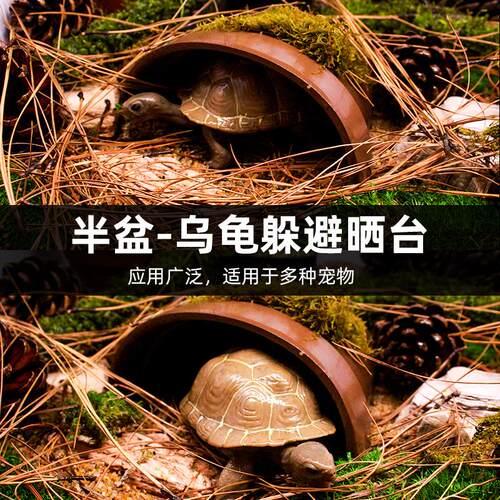 乌龟躲避晒台爬宠造景洞穴瓦片
