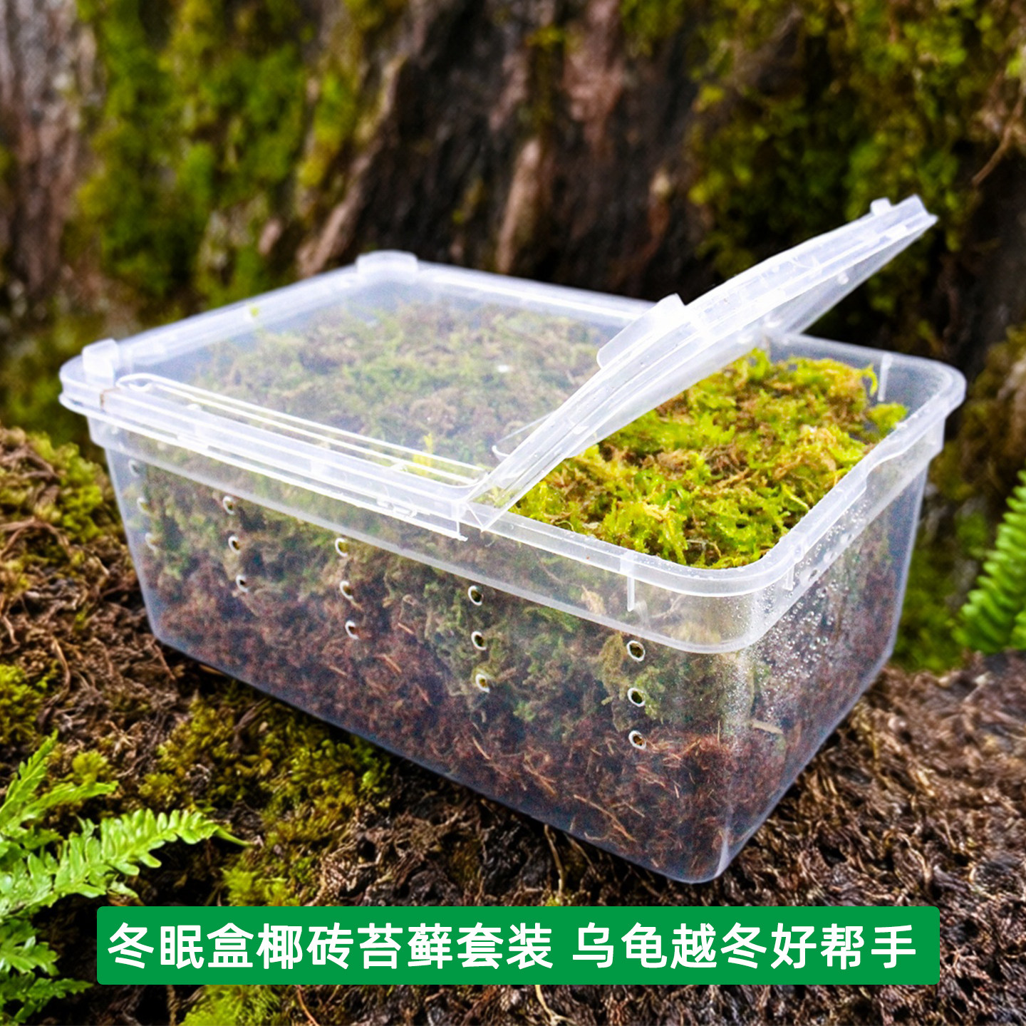 乌龟冬眠土爬宠椰土免泡型巴西龟过冬窝沙土箱苔藓饲养箱冬眠用品