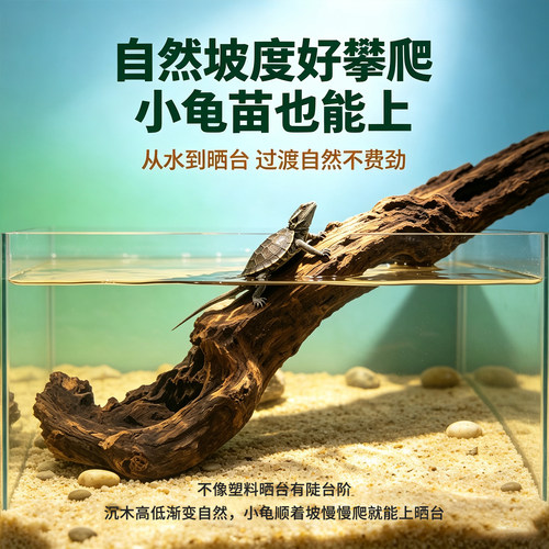 陆龟造景沉木爬宠箱晒背躲避木乌龟饲养缸天然树根造景装饰摆件