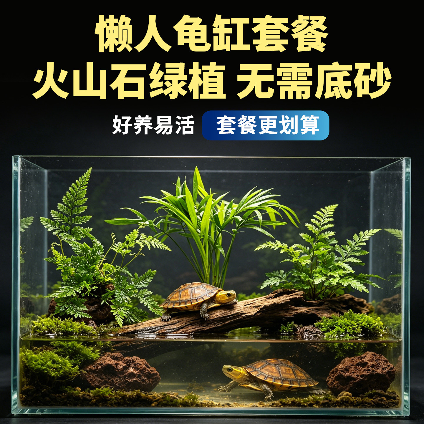 半水龟造景水草菖蒲火山石乌龟缸绿植黄缘安缘饲养箱植物装饰摆件图片