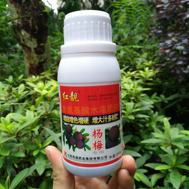 杨梅膨大剂膨大素叶面肥红靓增大增硬含氨基酸水溶肥料汁多靓黑