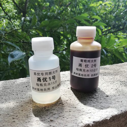 葡萄膨大剂甬优果粒大果粉多