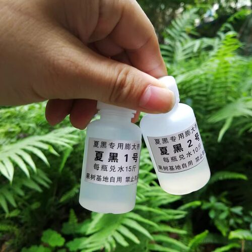 果粒均匀口感好葡萄膨大剂夏黑