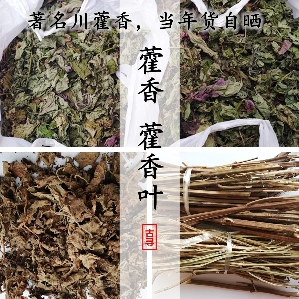 四川藿香 藿香叶 广藿香天然合香和香精选优质香药材电熏香熏空熏