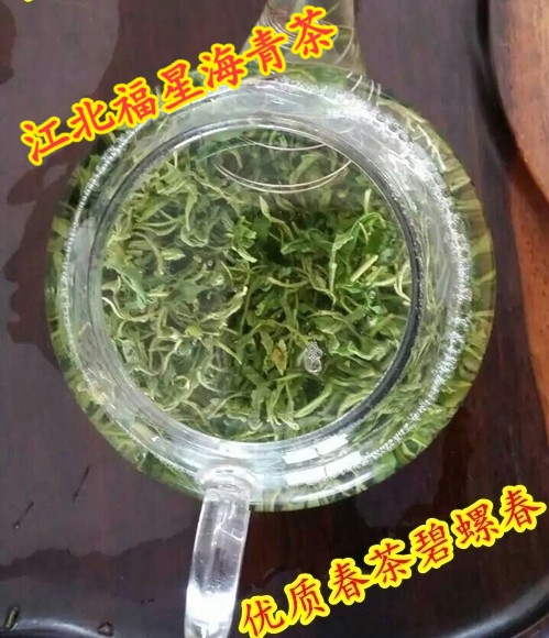 178露天海青茶豌豆香青岛胶南福星绿茶2023年新茶赛崂山茶9年老店